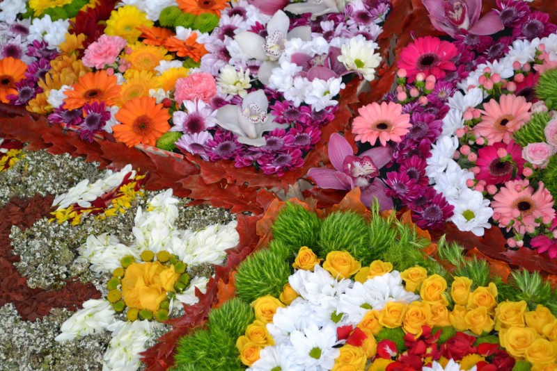 Снимка за Да усетиш духа на Белгия за един ден