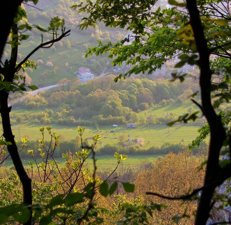 Снимка за Как се става лесовъд за един ден – ела и научи ...