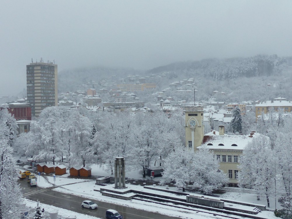 Снимка за 10099