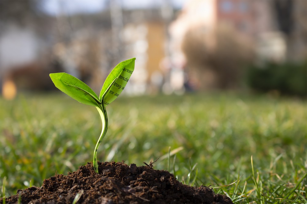 Снимка за 9175