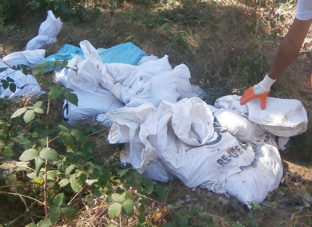 Снимка за 7131