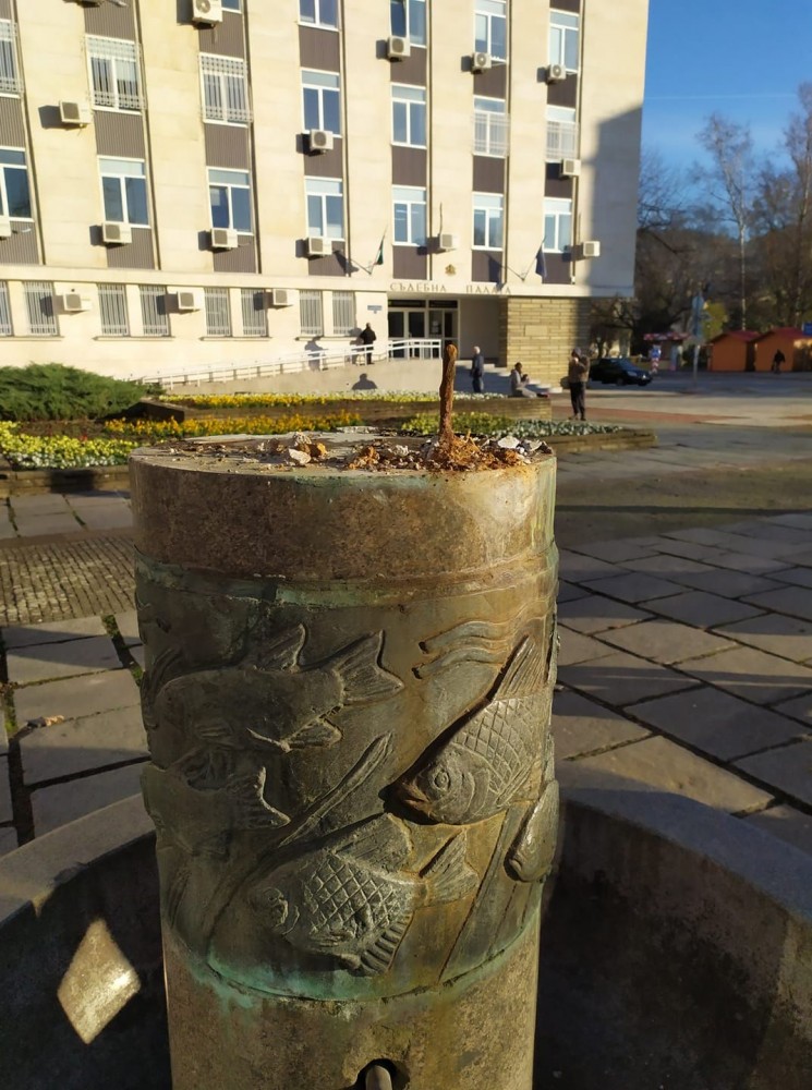 Снимка за 8481