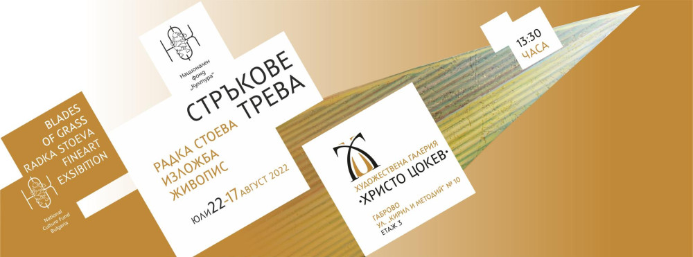 Снимка за 11363