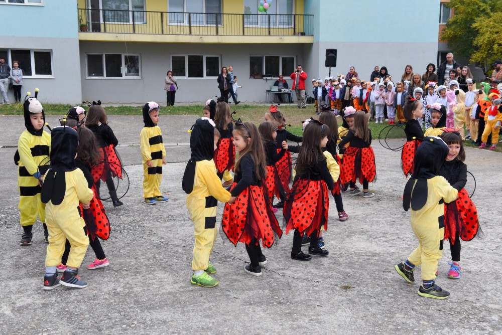 Снимка за 7211