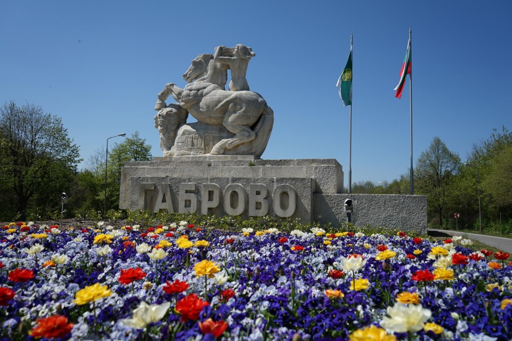 Снимка за 9010