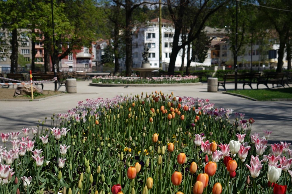 Снимка за 8981