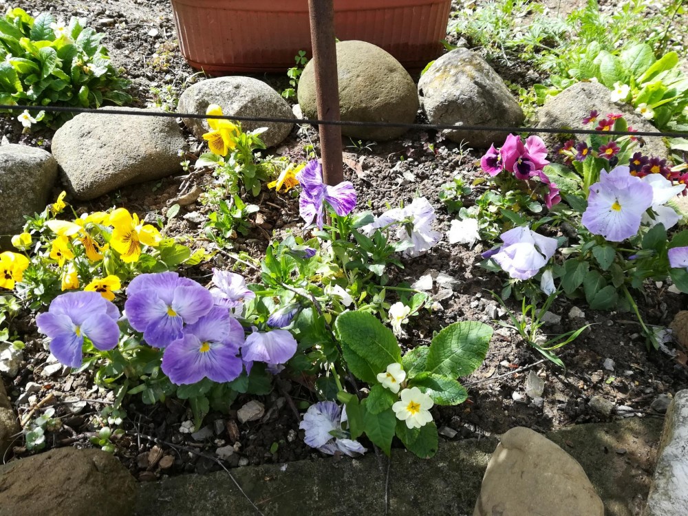 Снимка за 7705