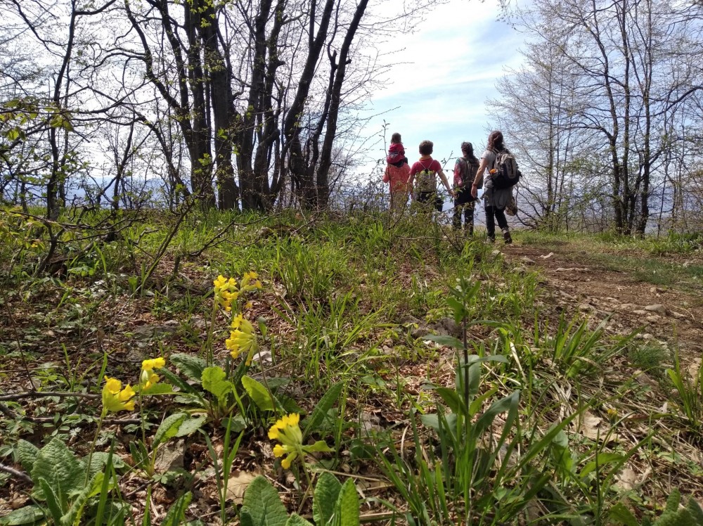 Снимка за 8962