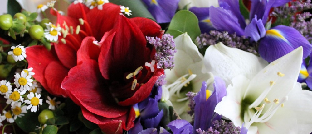 Снимка за 9756