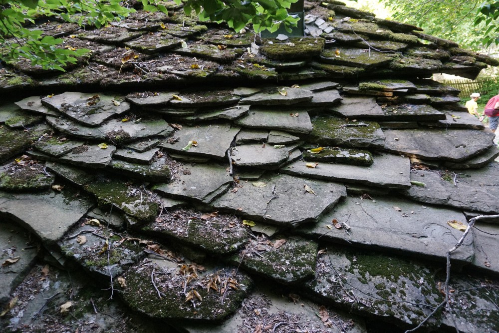 Снимка за 10564