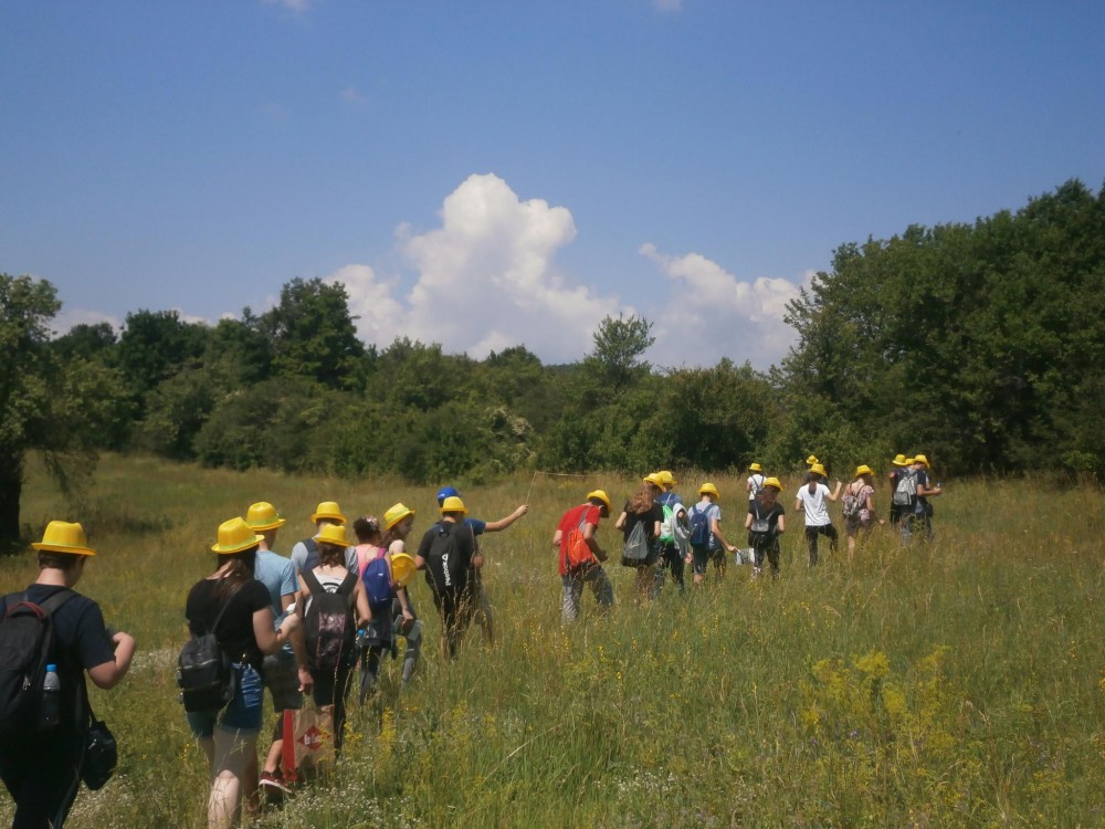 Снимка за 8008