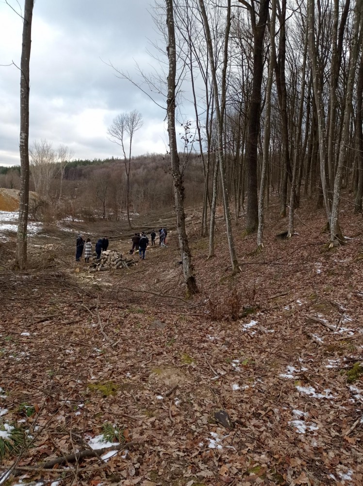 Снимка за 10911