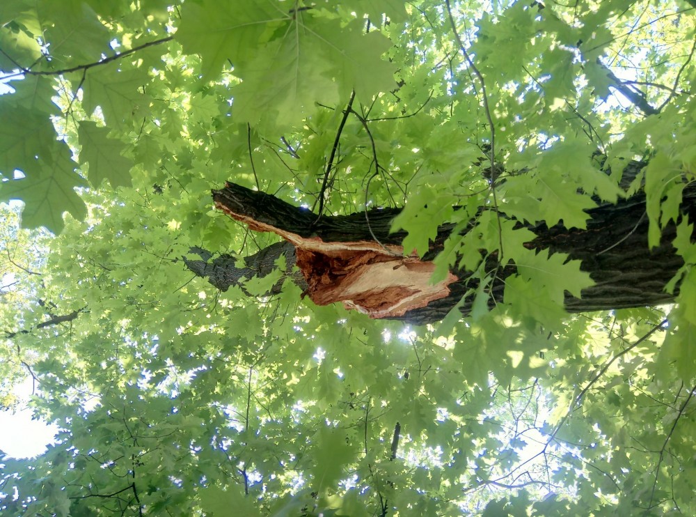 Снимка за 10444