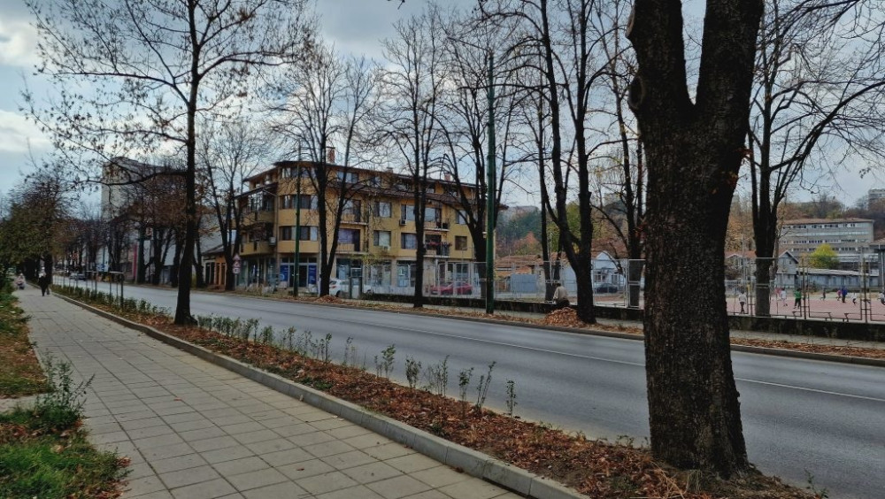 Снимка за 11569