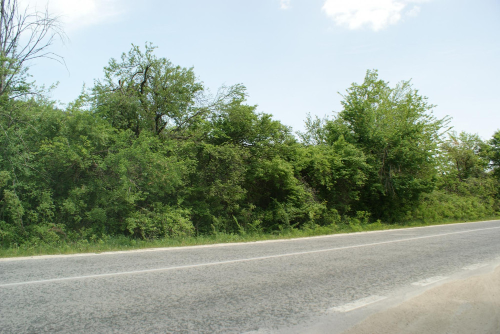 Снимка за 11172