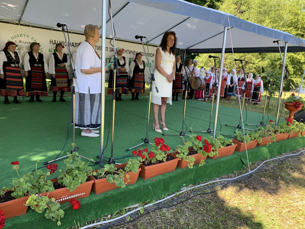 Снимка за 12064