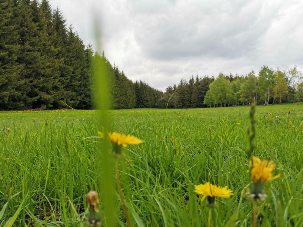 Снимка за 10975