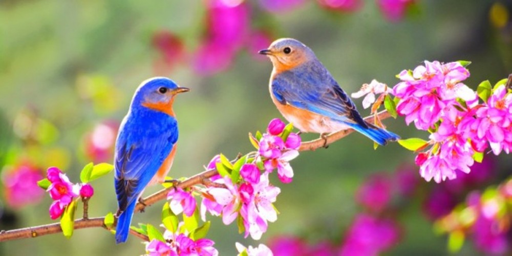 Снимка за 6731