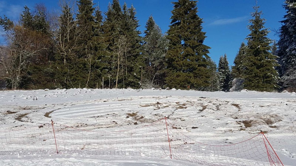 Снимка за 10956