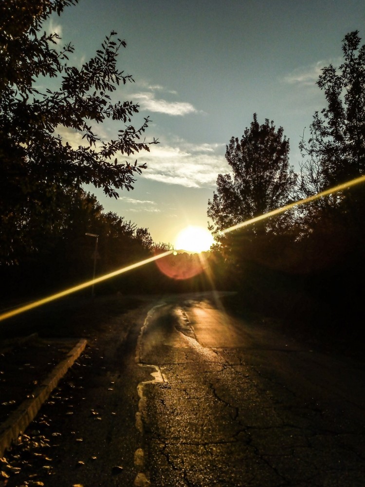 Снимка за 8006