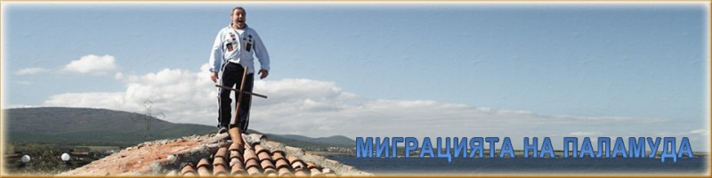 Снимка за „Миграцията на паламуда” предкарнавално в Габрово