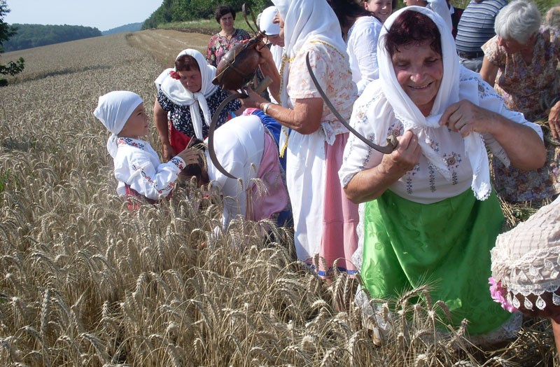 Снимка за Жътва в село Гарван