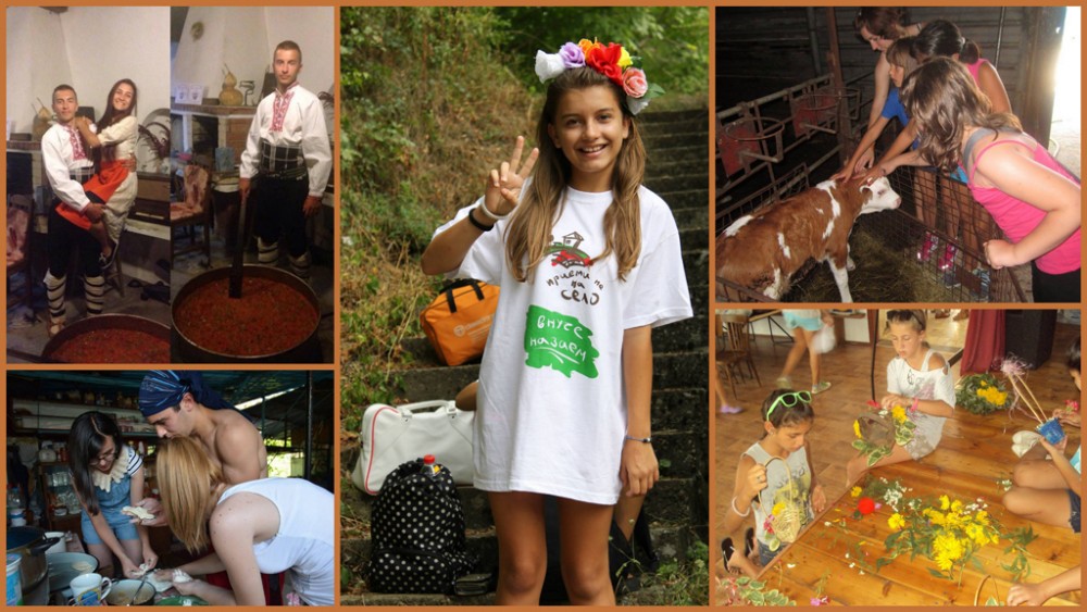 Снимка за 4566