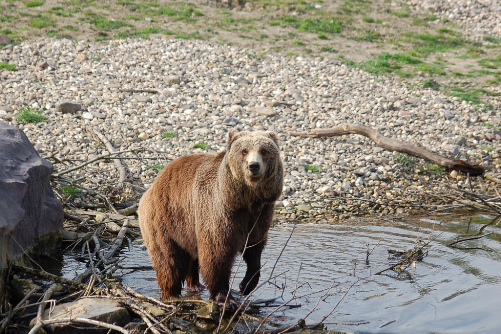 Снимка за 4648