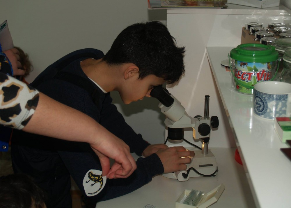 Снимка за 4856