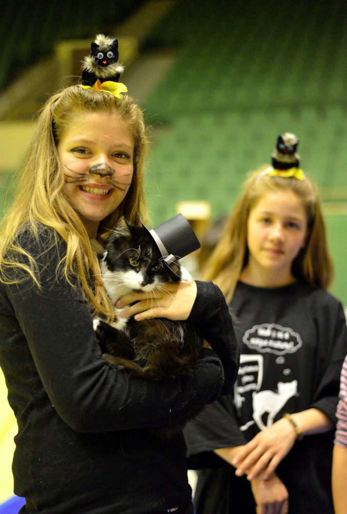 Снимка за 5061