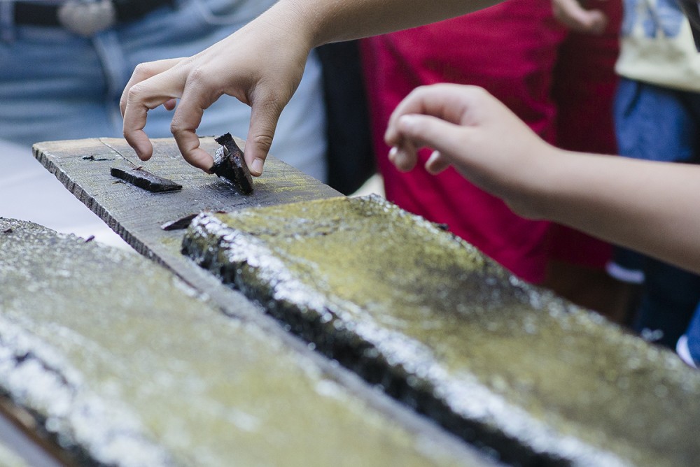 Снимка за 5321