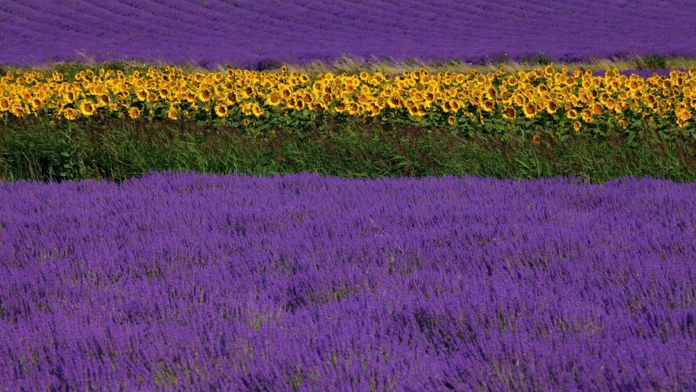 Снимка за 6089