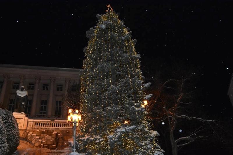 Снимка за Днес коледната елха в Габрово ще светне с Кварт...