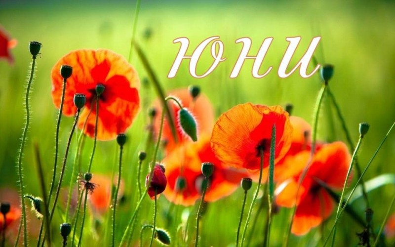 Снимка за КУЛТУРЕН КАЛЕНДАР ЗА МЕСЕЦ ЮНИ