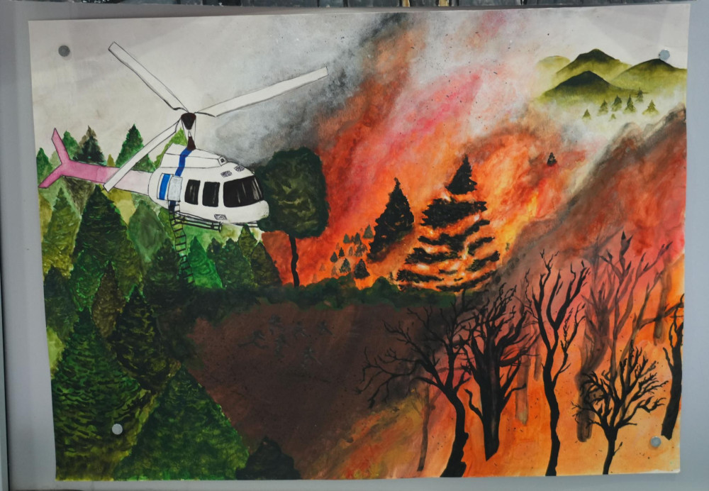 Снимка за 11865