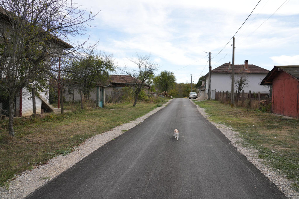 Снимка за 12265