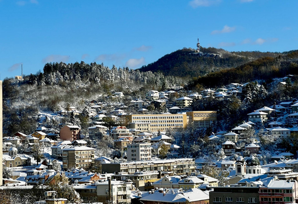 Снимка за 12338