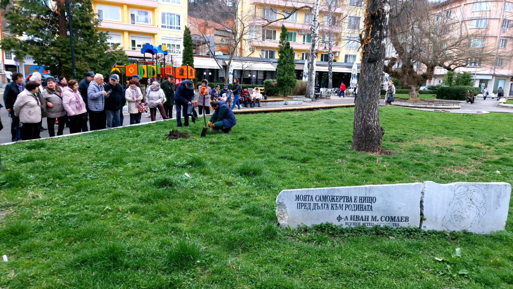 Снимка за 12652