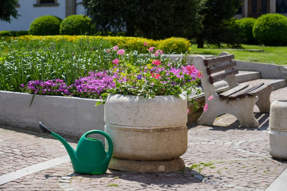 Снимка за 12630