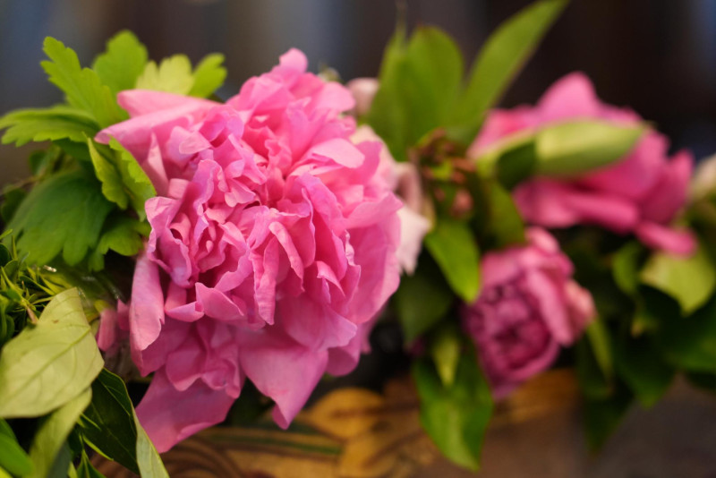 Снимка за Програма за 24 май 