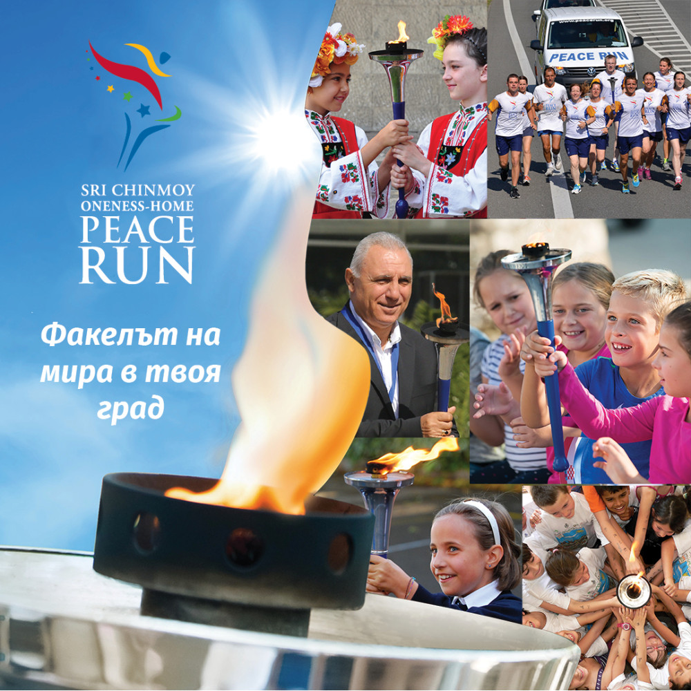 Снимка за 12951