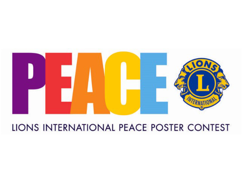 Снимка за 12993