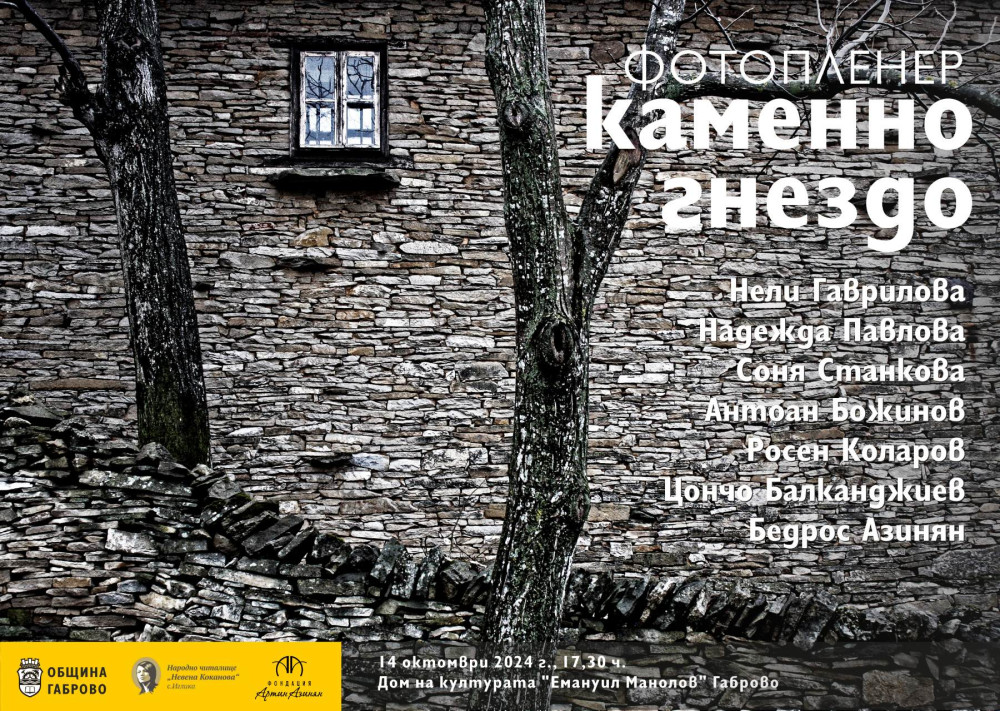 Снимка за 12981