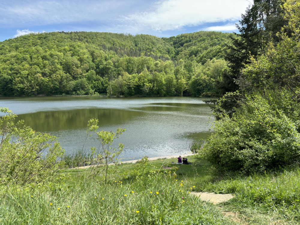 Снимка за 13014