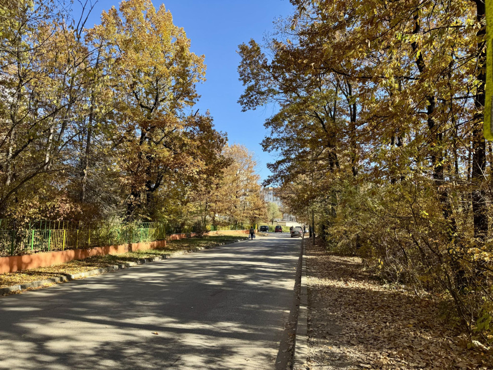 Снимка за 13061