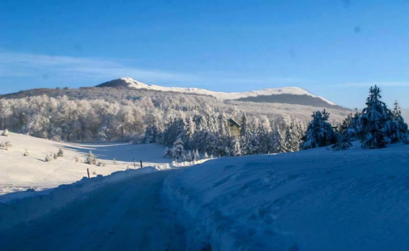 Снимка за ОД на МВР – Габрово: В местност Узана ще бъде и...