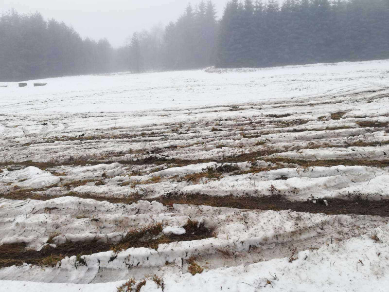Снимка за Постоянен контрол на Узана срещу незаконните др...