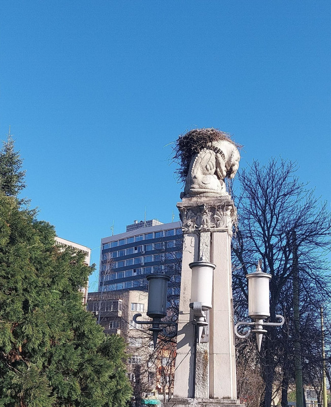 Снимка за Щъркеловото гнездо готово да посрещне своите об...