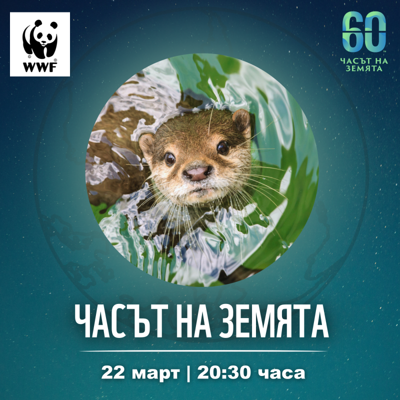 Снимка за Включете се в "Часът на Земята"