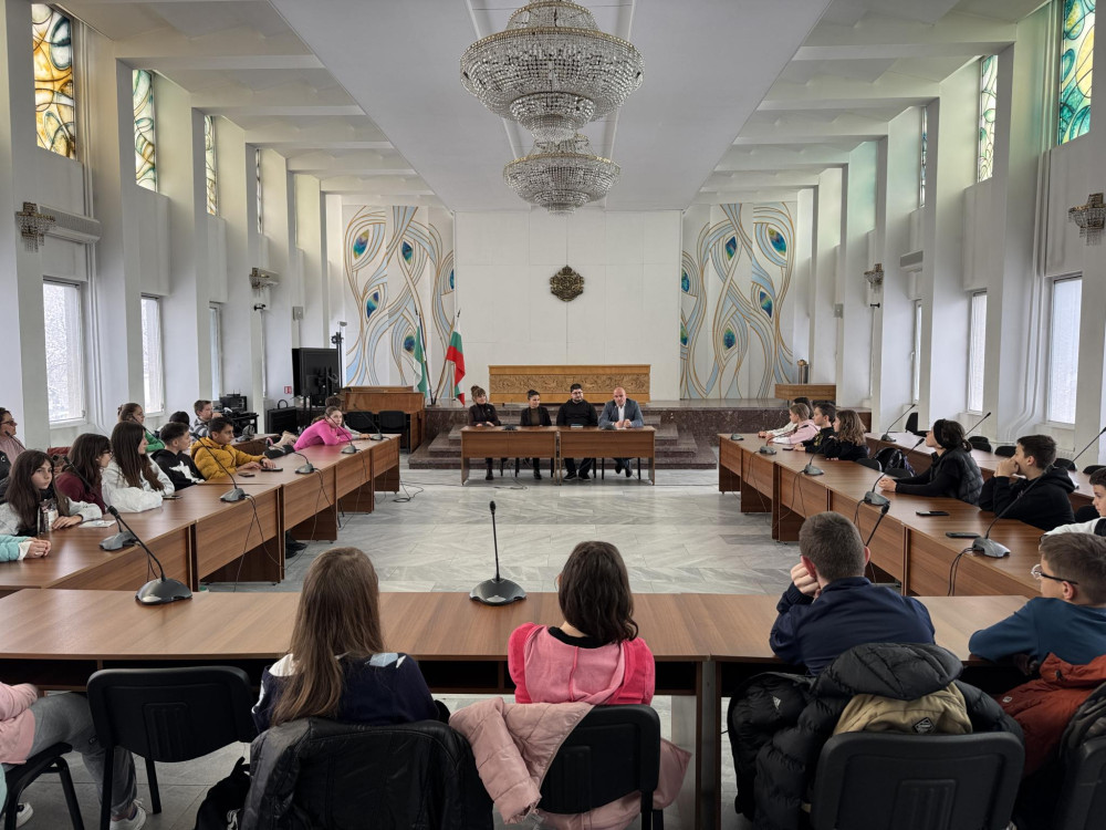 Снимка за 13393